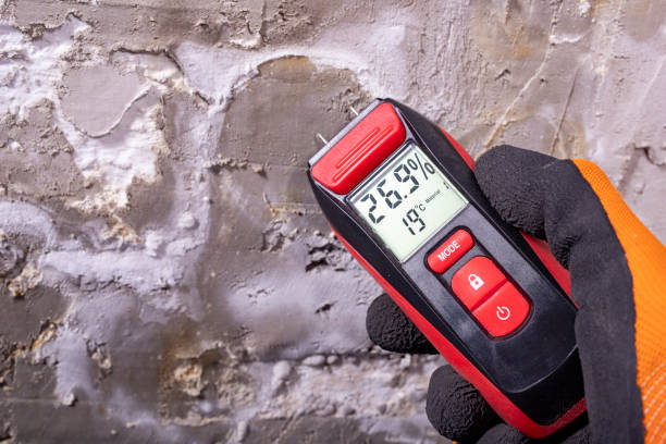 Best Mold Testing  in Cheshire Village, CT