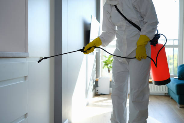 Trusted Cheshire Village, CT Mold Removal Experts
